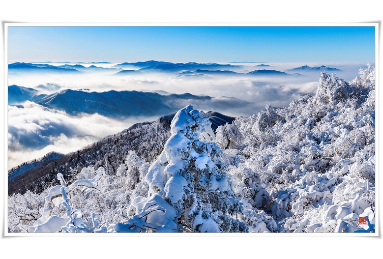 겨울 산
