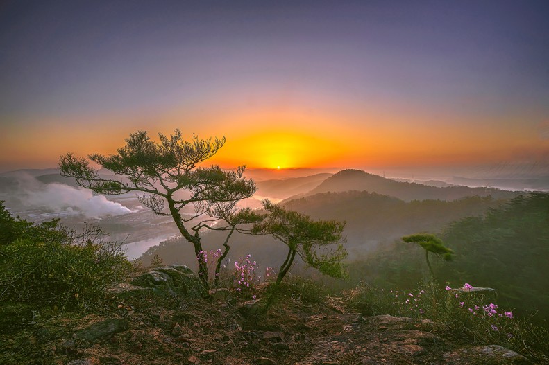 앞산에 봄