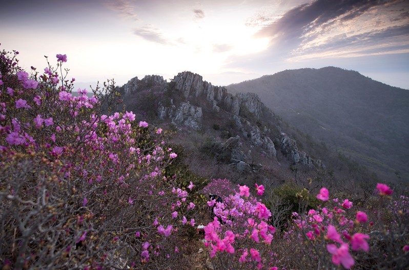 주작산