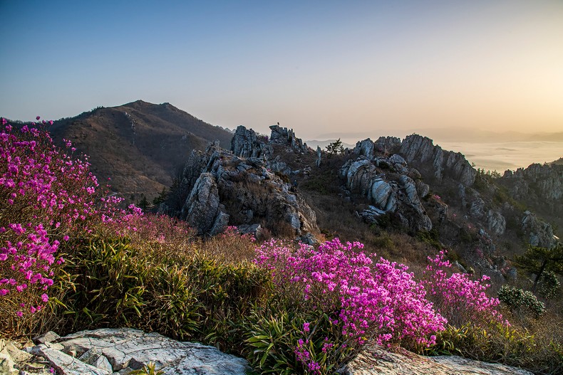 주작산