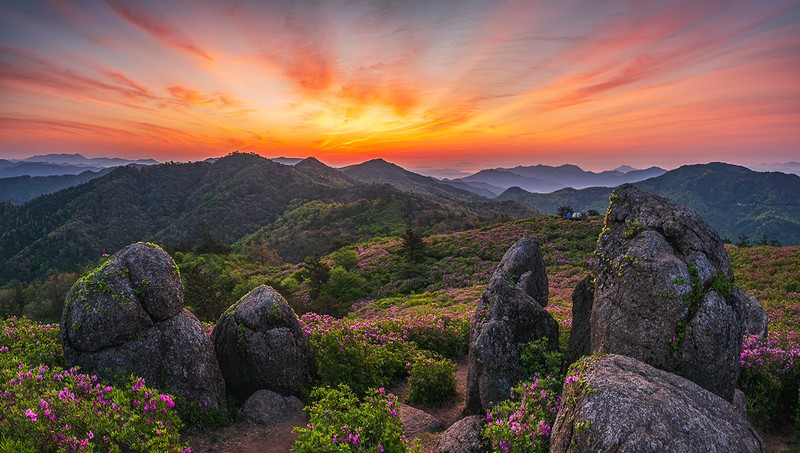 초암산