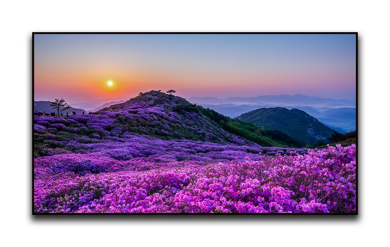 황매산