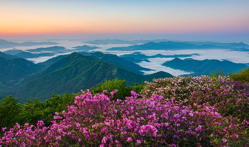 안양산