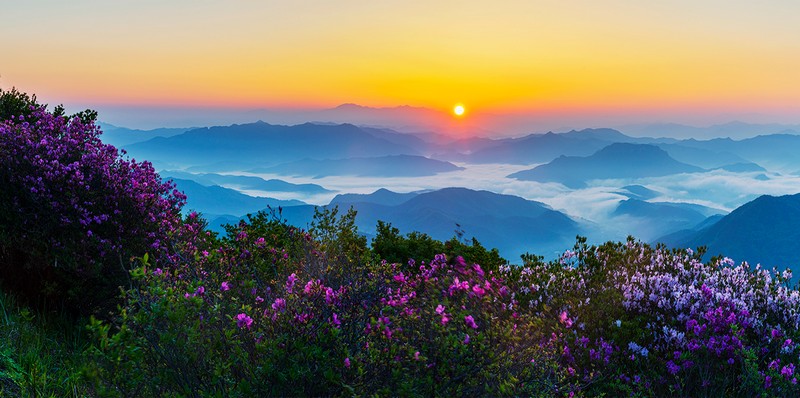 안양산2