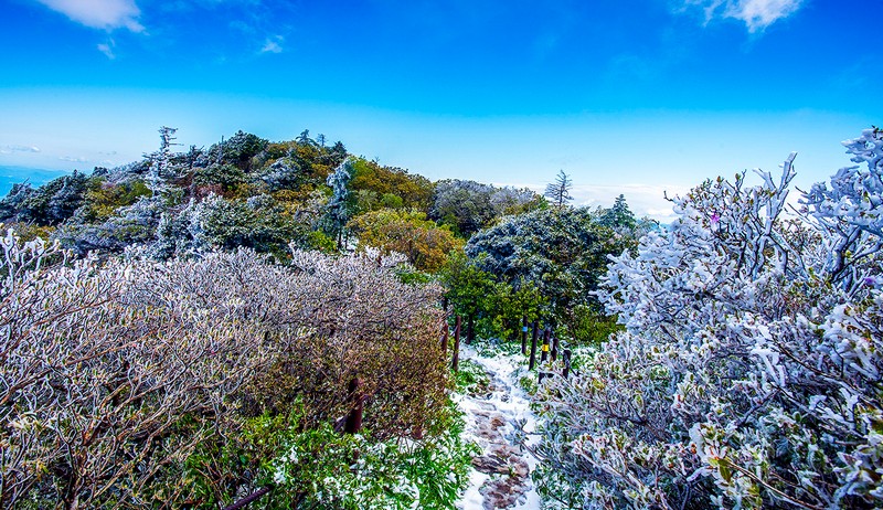 오월의 신록설경