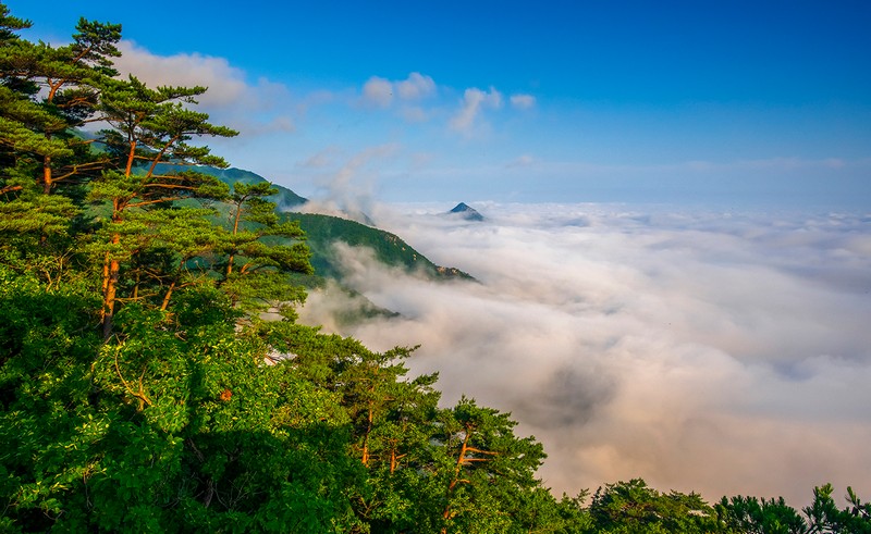 운해경