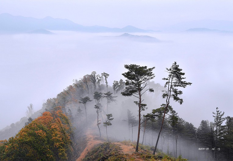 산수화