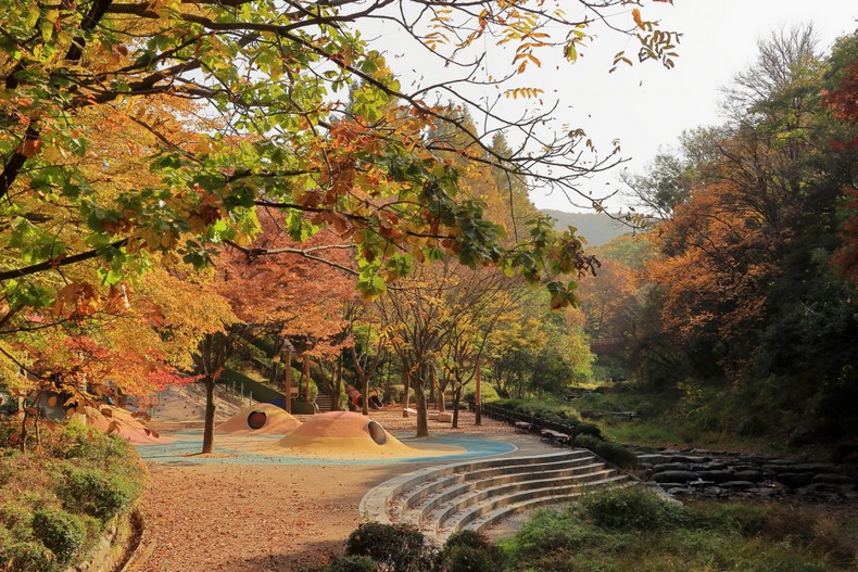 서울대공원의 가을