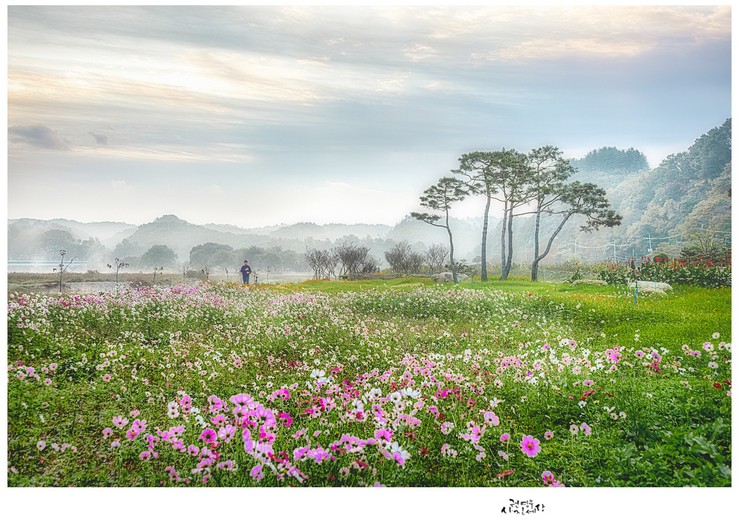 새벽바람 지날 때