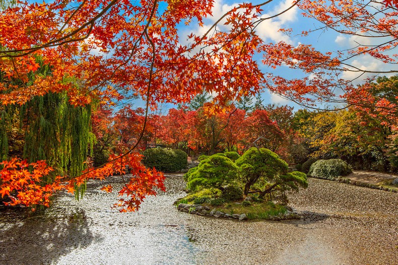 추경 - 秋景