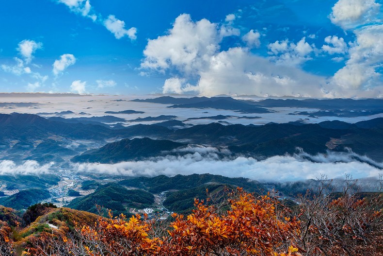 추경 - 秋景