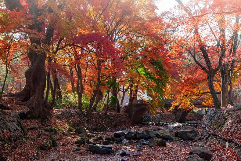 추경 - 秋景