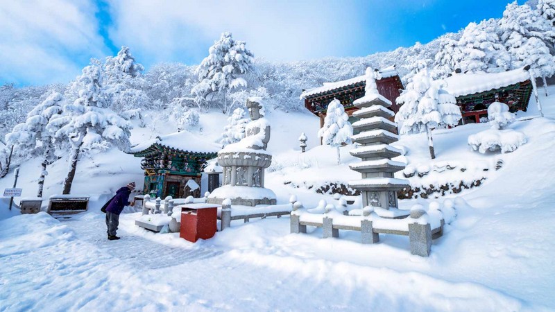 태백산 만경사 설경