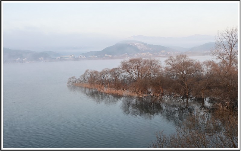 반 영
