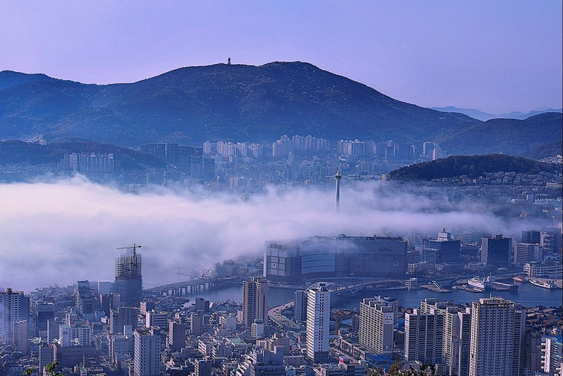 부산해 무