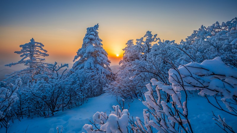 춘설의 태백산