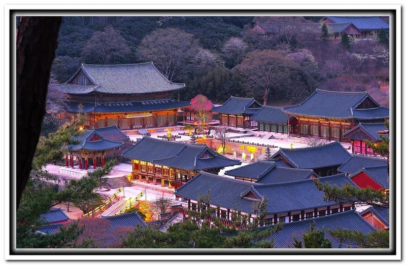 화엄사 야경