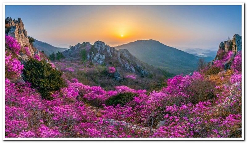 주작산 파노라마
