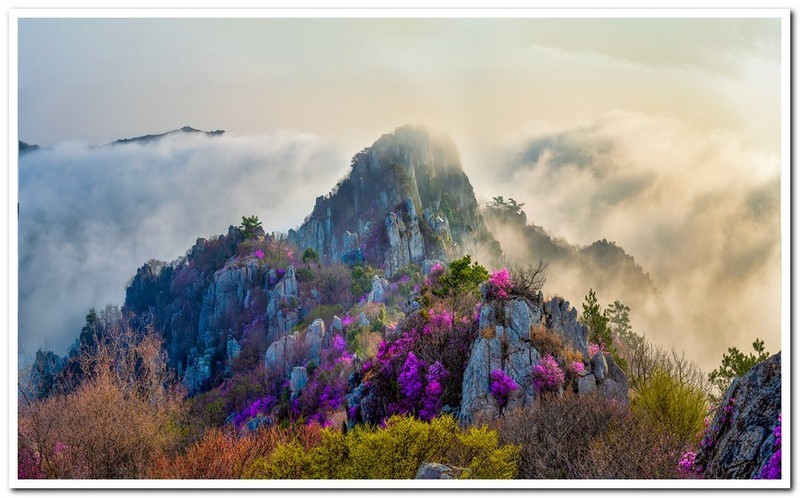선경