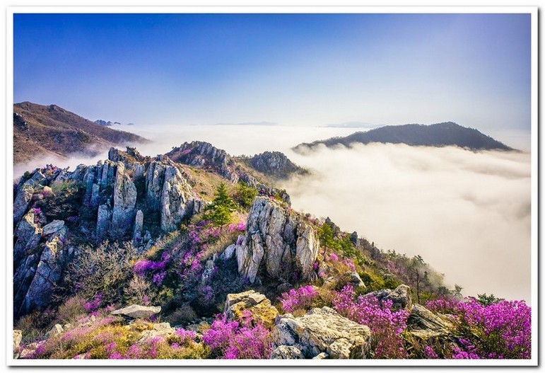 추억의 주작산