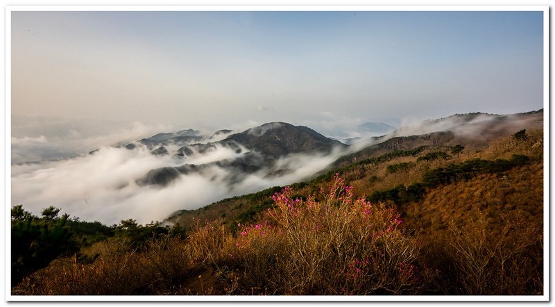 황매산 아침산책