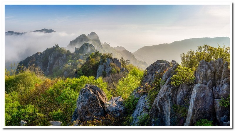 주작산 신록