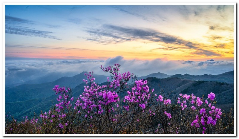 운장산