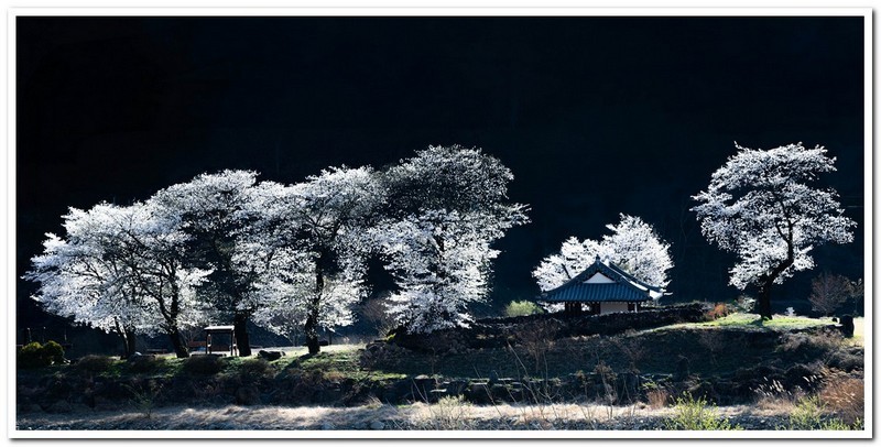 병연정