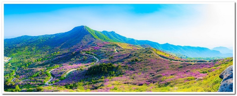 황매산