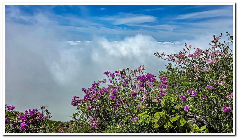 지리산 삼신봉의 봄