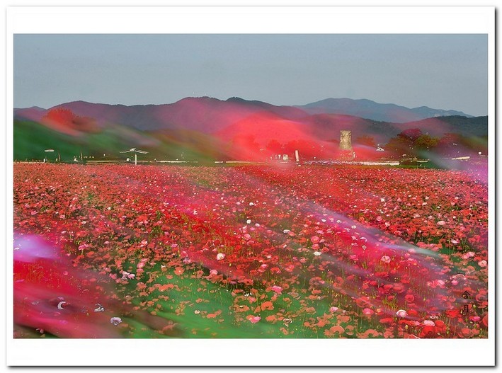 바람 불어 좋은 날