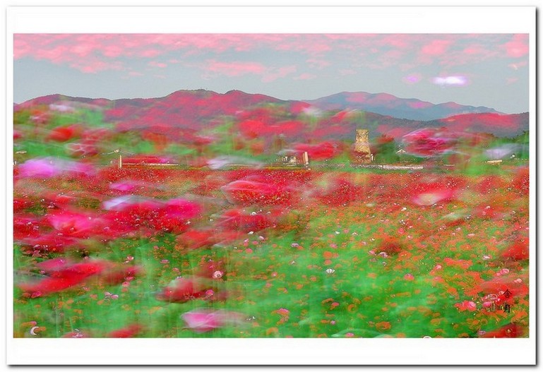 혼돈의 시대 (뒤죽박죽)