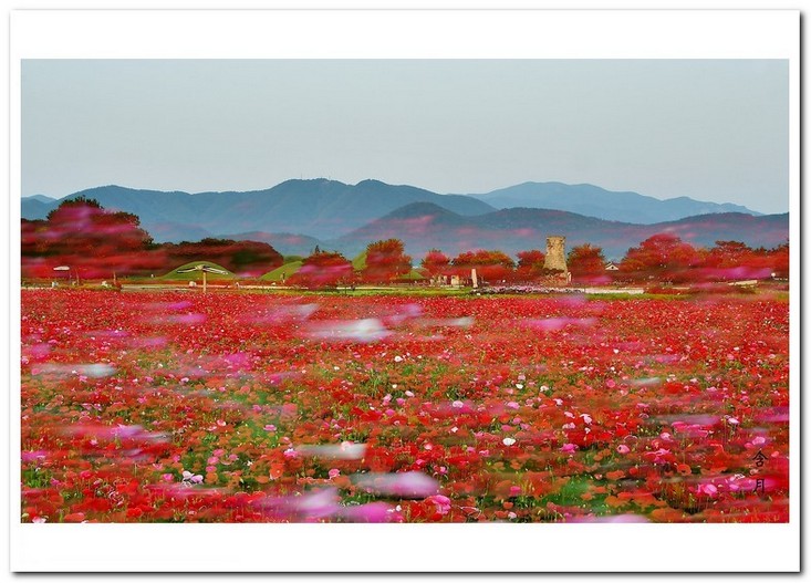 스쳐가는 바람 소리