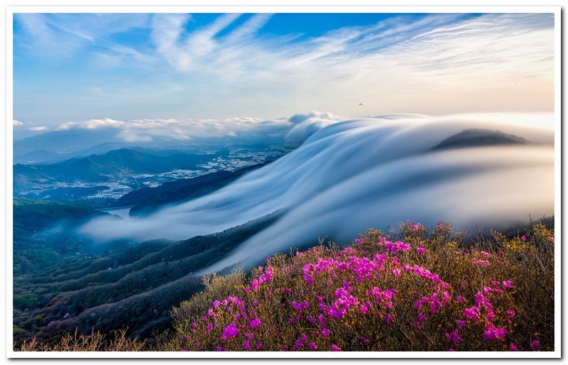 지리산의 봄
