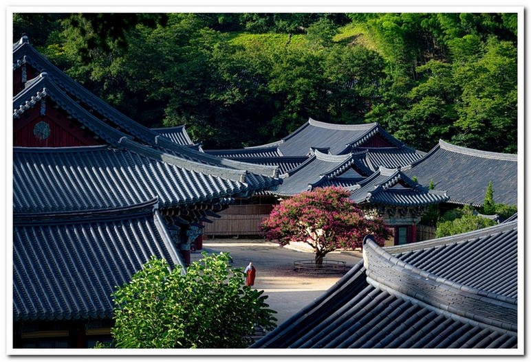 송광사 소경