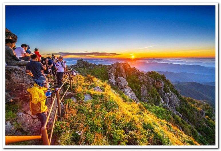 지리산 천왕봉 산오이풀