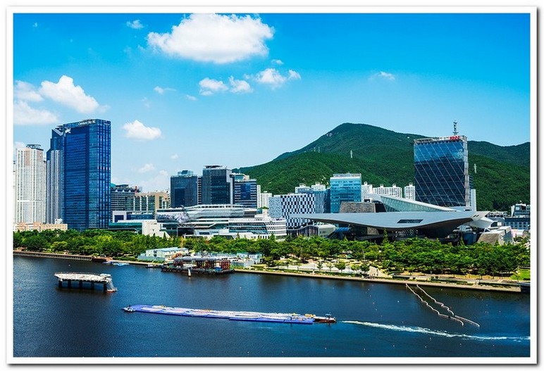 수영강 이색 뗏목