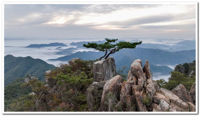 도봉산에서계룡산까지,