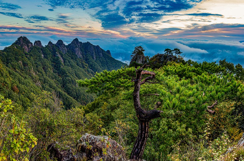 구봉산