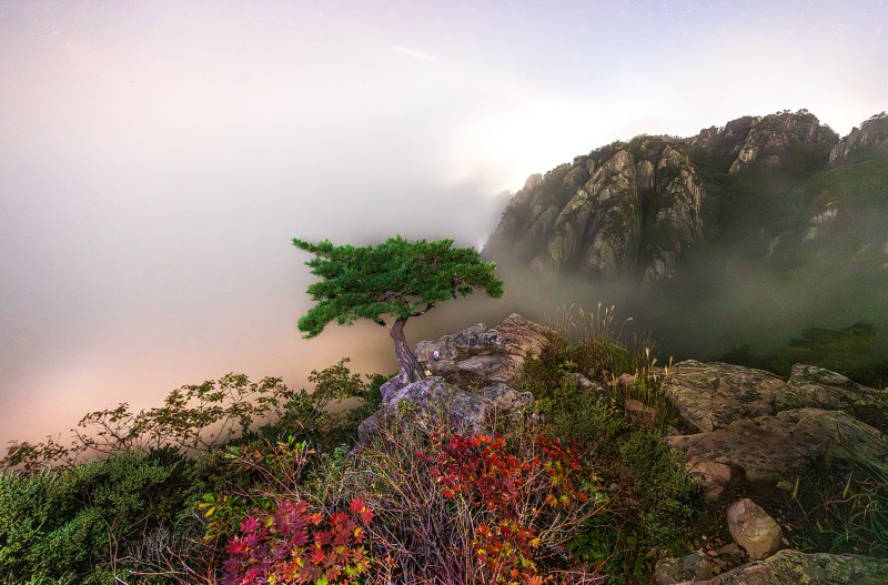 대둔산
