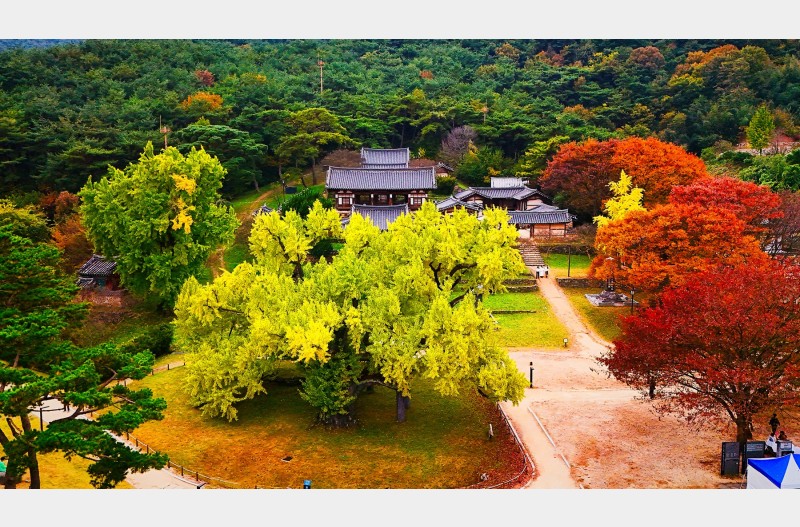 도동서원