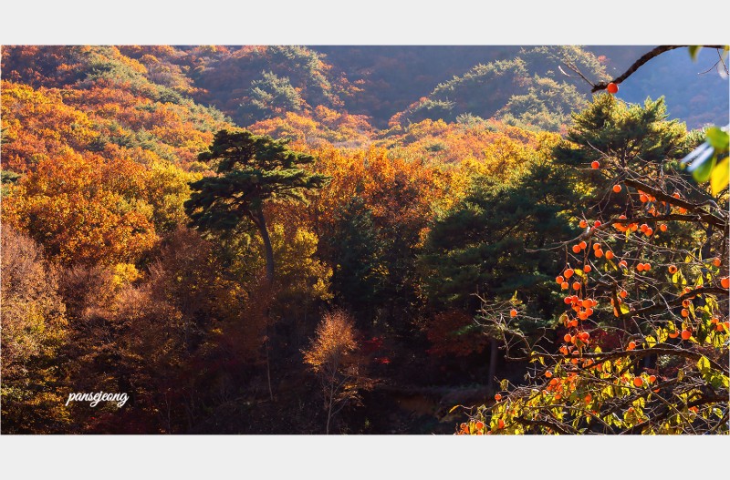 깊어가는가을