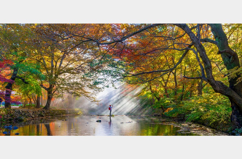 선운사 빛내림
