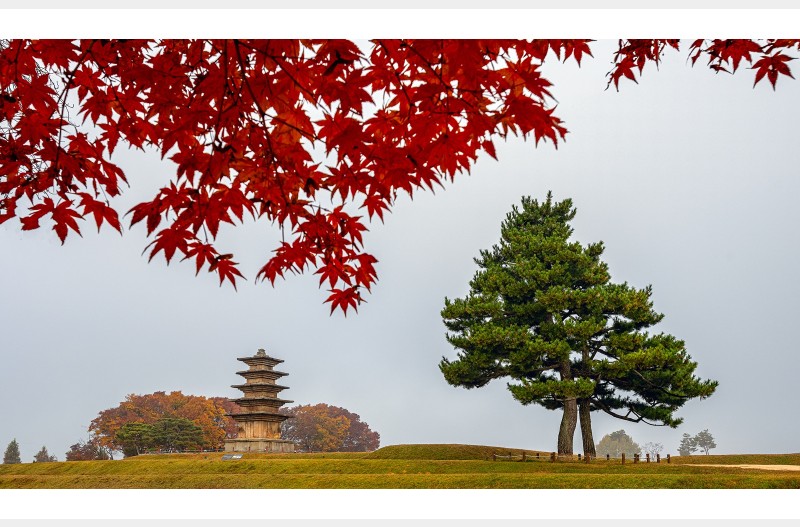 가을