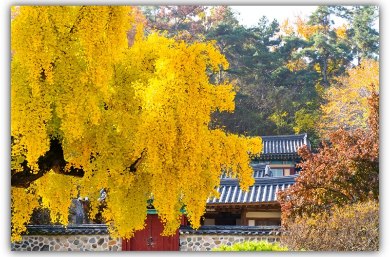 임고서원