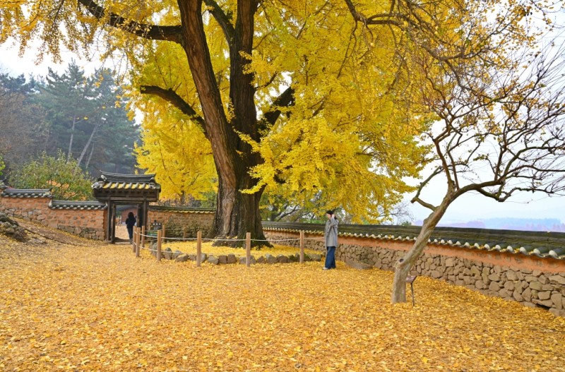 만추
