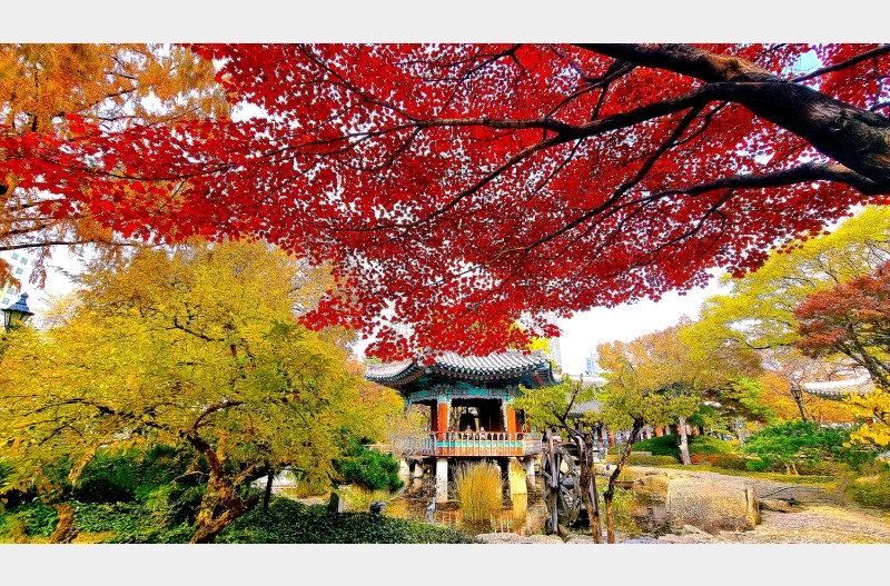 경상감영공원의 가을 색