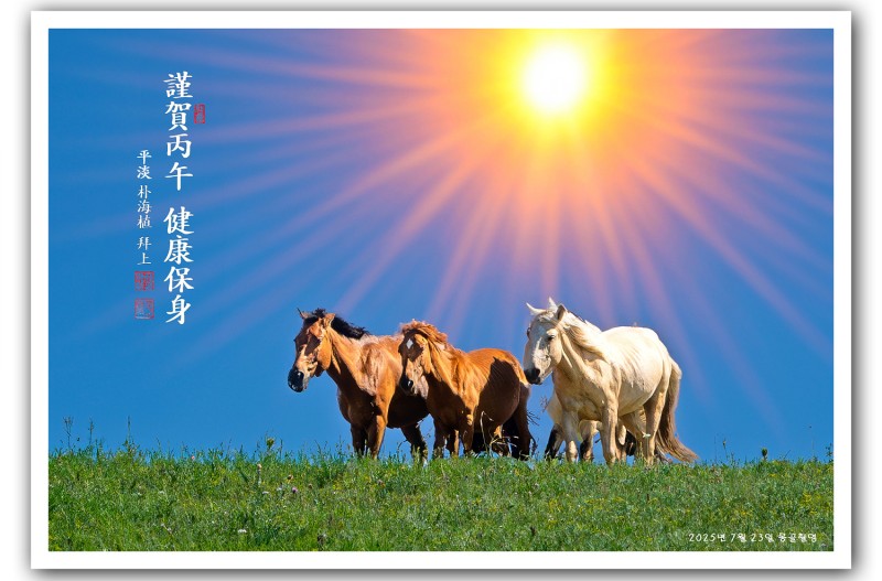 丙午元旦