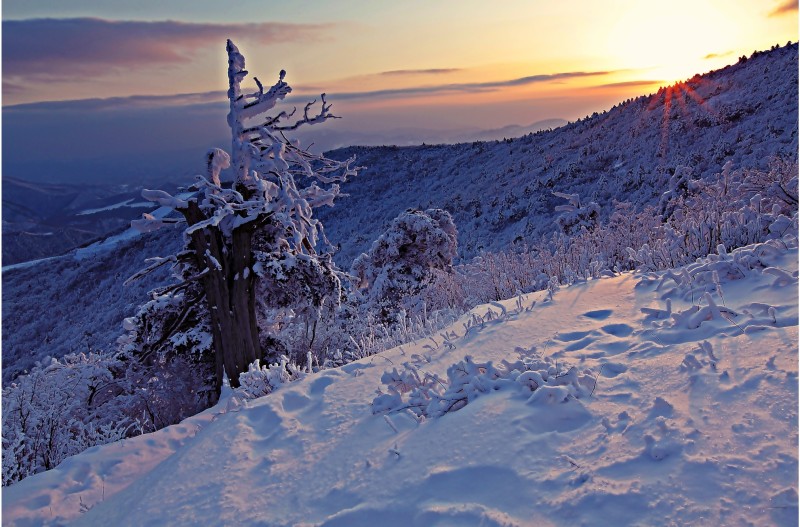 함백산 설경