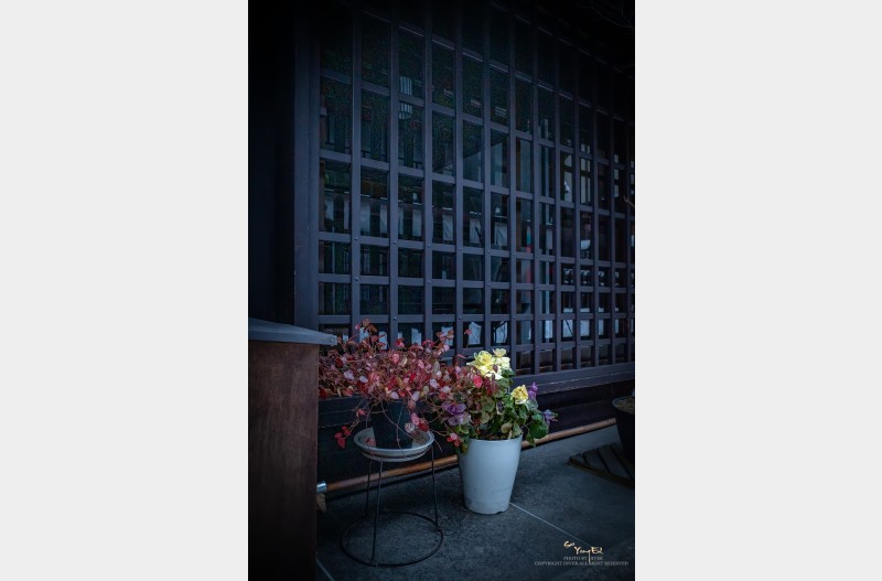 설국의 아침